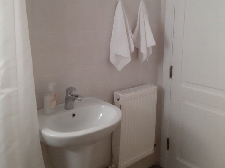 Cozy Kridari apartment bathroom.
